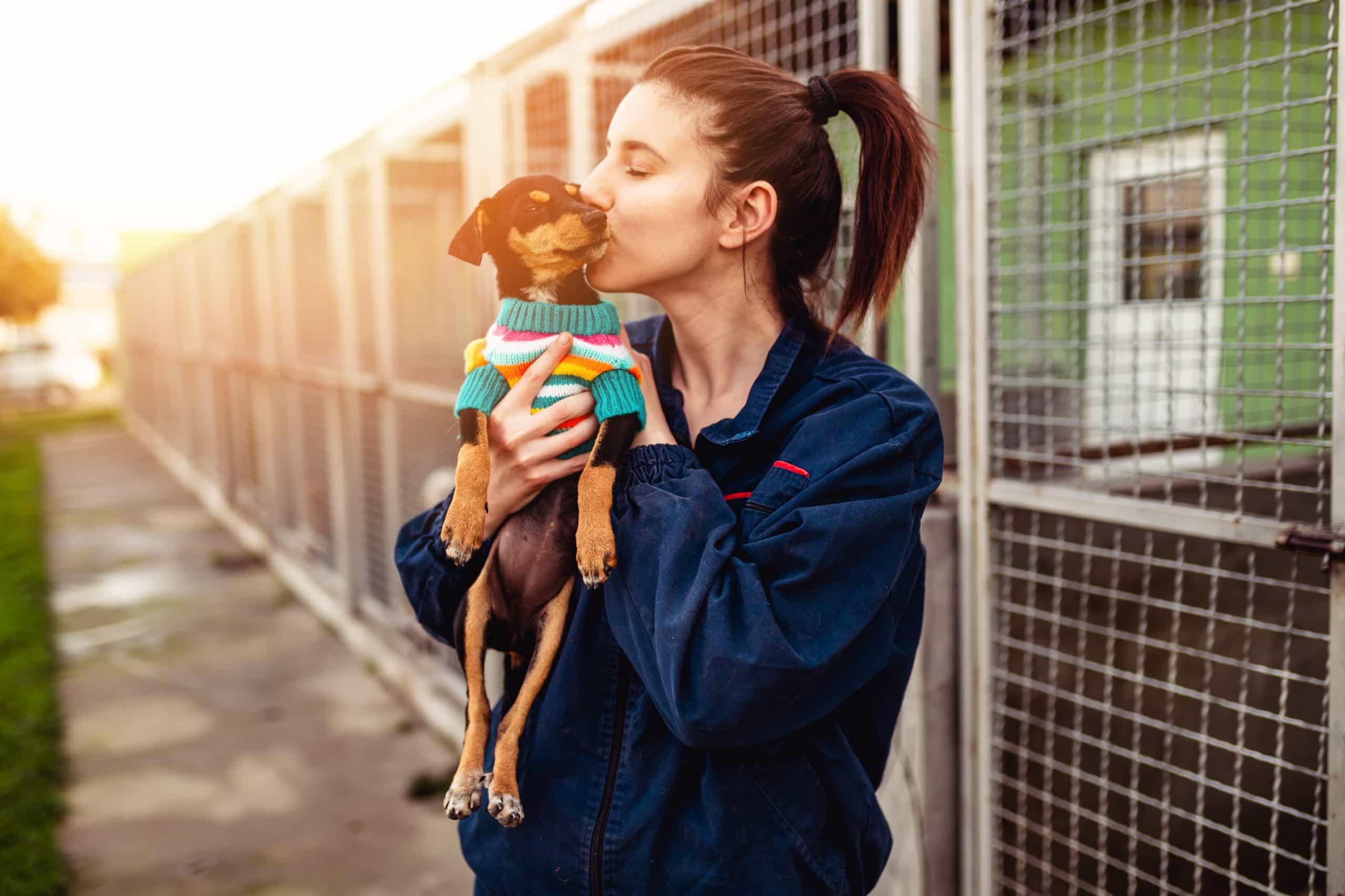 Frau und Hund Eine Frau gibt ihren Hund einen Kuss