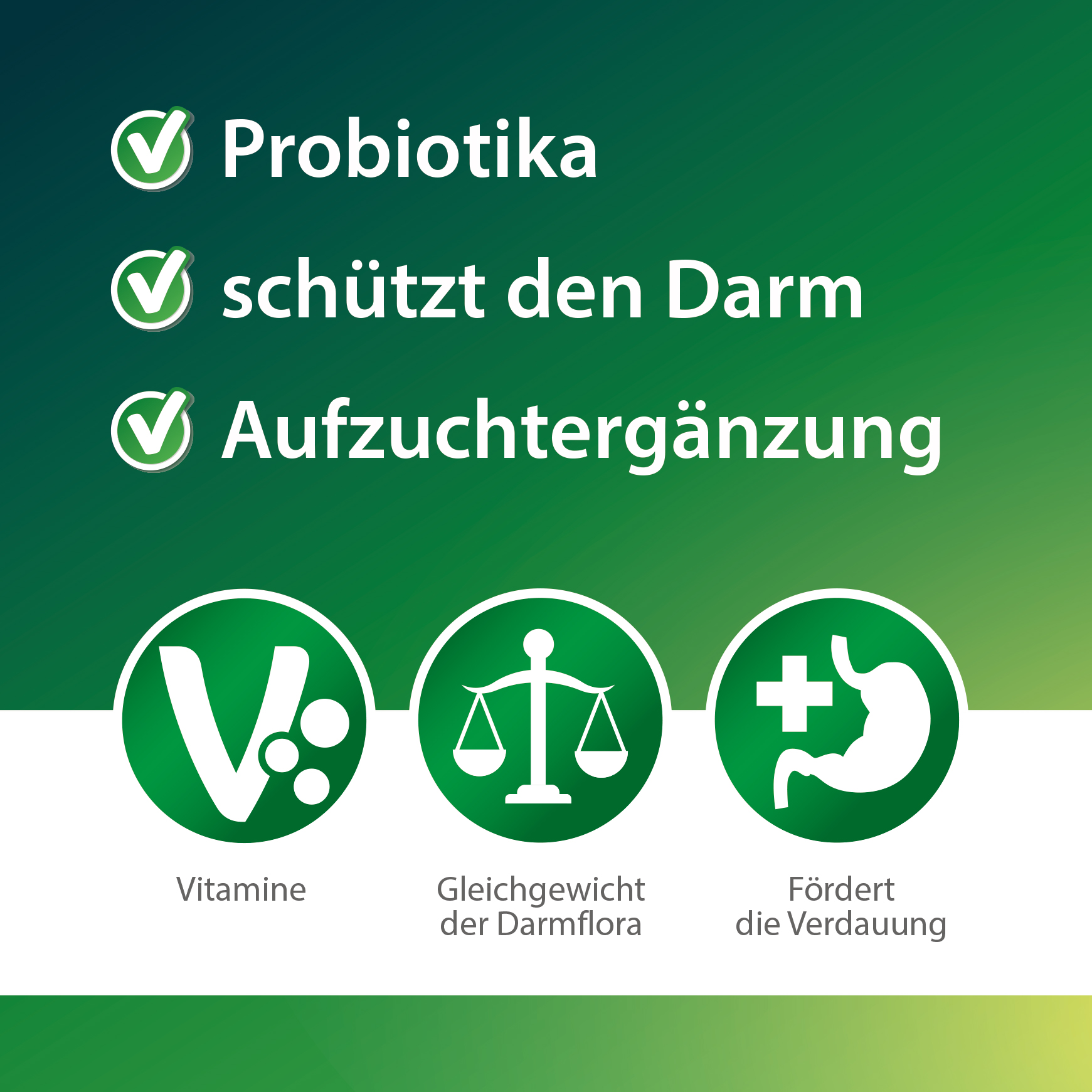 Kükenglück - 550 g - Aufzuchtpräparat - Kükenfutter mit Vitaminen - für Hühner, Enten, Gänse, Geflügel