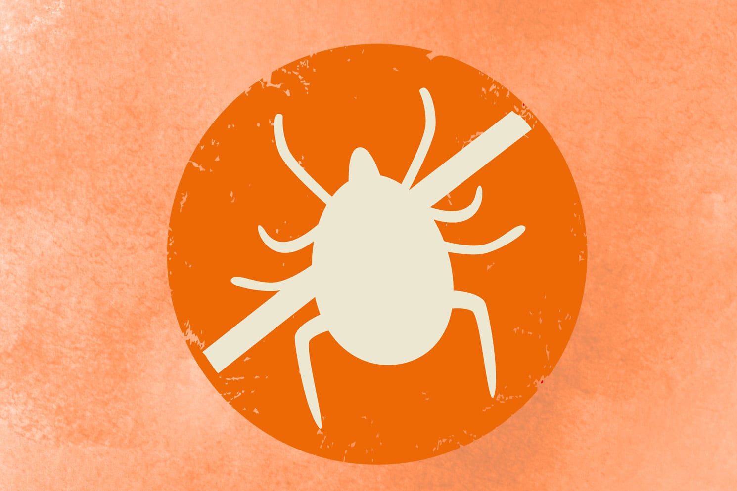 Parasiten Icon Parasiten Abwehr Icon
