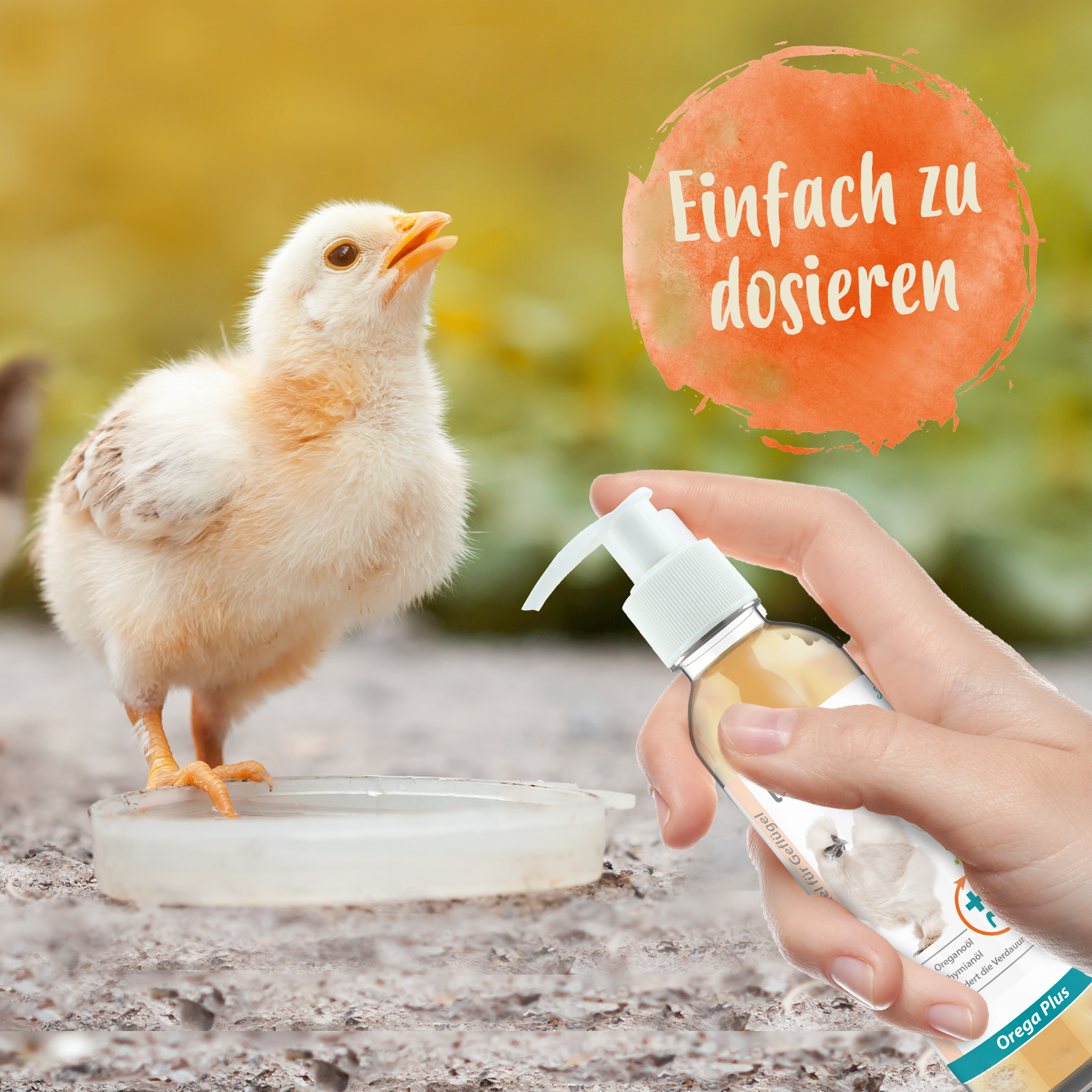 Orega Plus - Oregano Öl für Hühner unterstützt die Verdauung & Darmflora Orega Plus - Oregano Öl für Hühner unterstützt die Verdauung & Darmflora