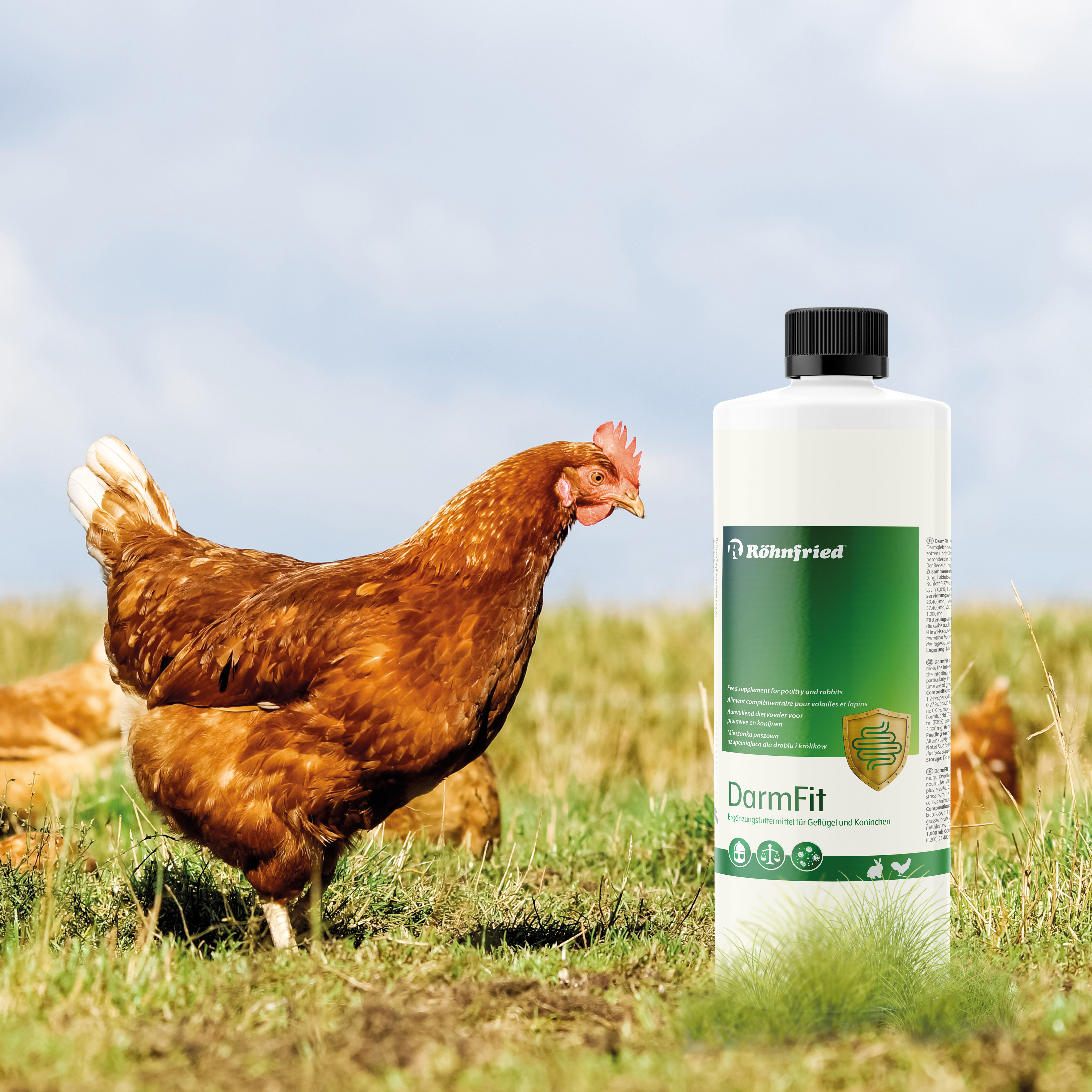 DarmFit - 1000 ml - with trace elements concentrate (5 ml/liter) for poultry: chickens, turkeys, geese, ducks