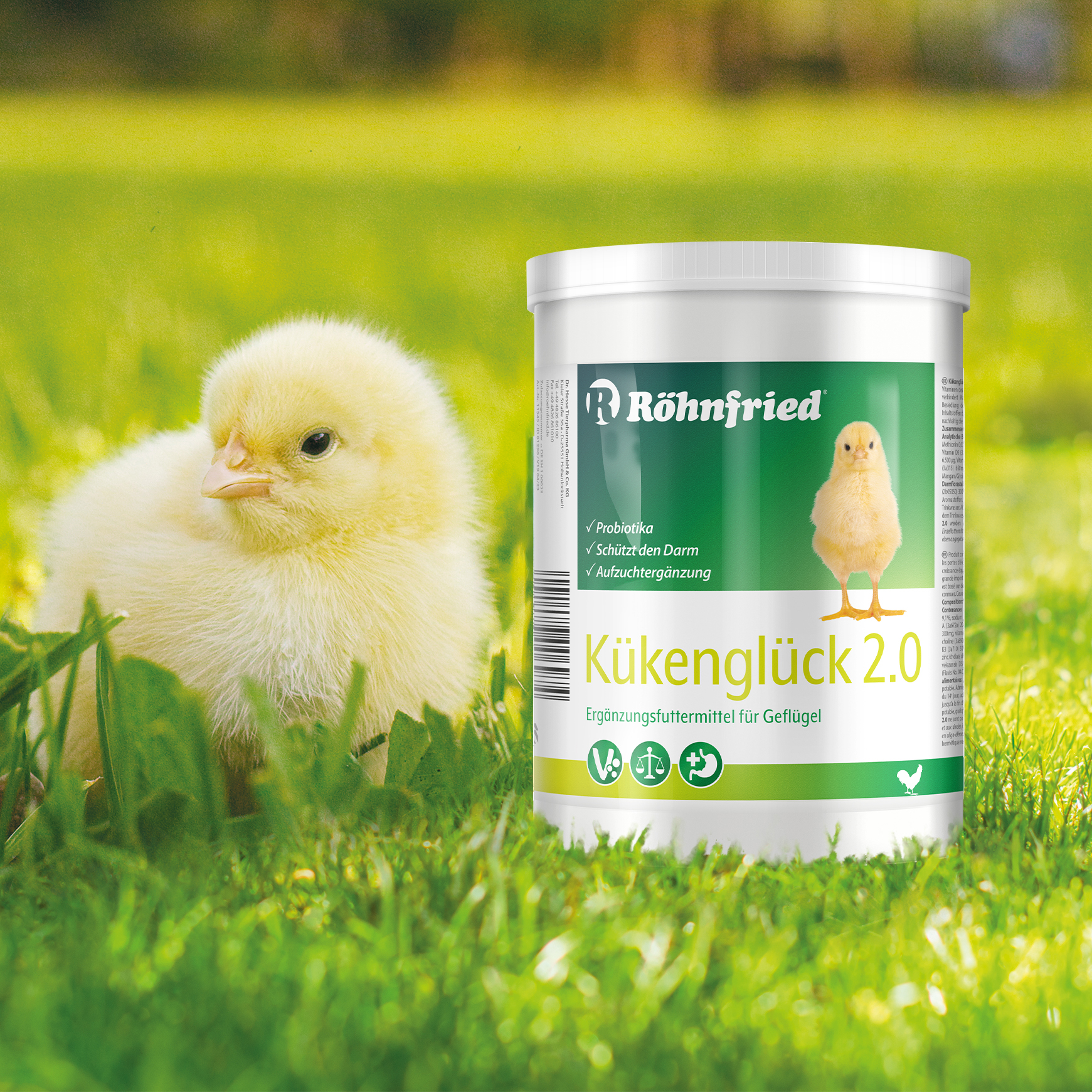 Kükenglück - 550 g - Aufzuchtpräparat - Kükenfutter mit Vitaminen - für Hühner, Enten, Gänse, Geflügel