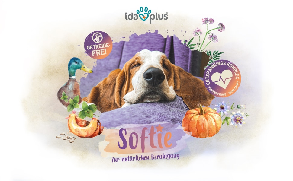 Softie A+ Header Ein Hund hat sein Kopf auf einen Kissen abgelegt und schläft. Darunter steht 'Softie' 'Zur natürlichen Beruhigung'