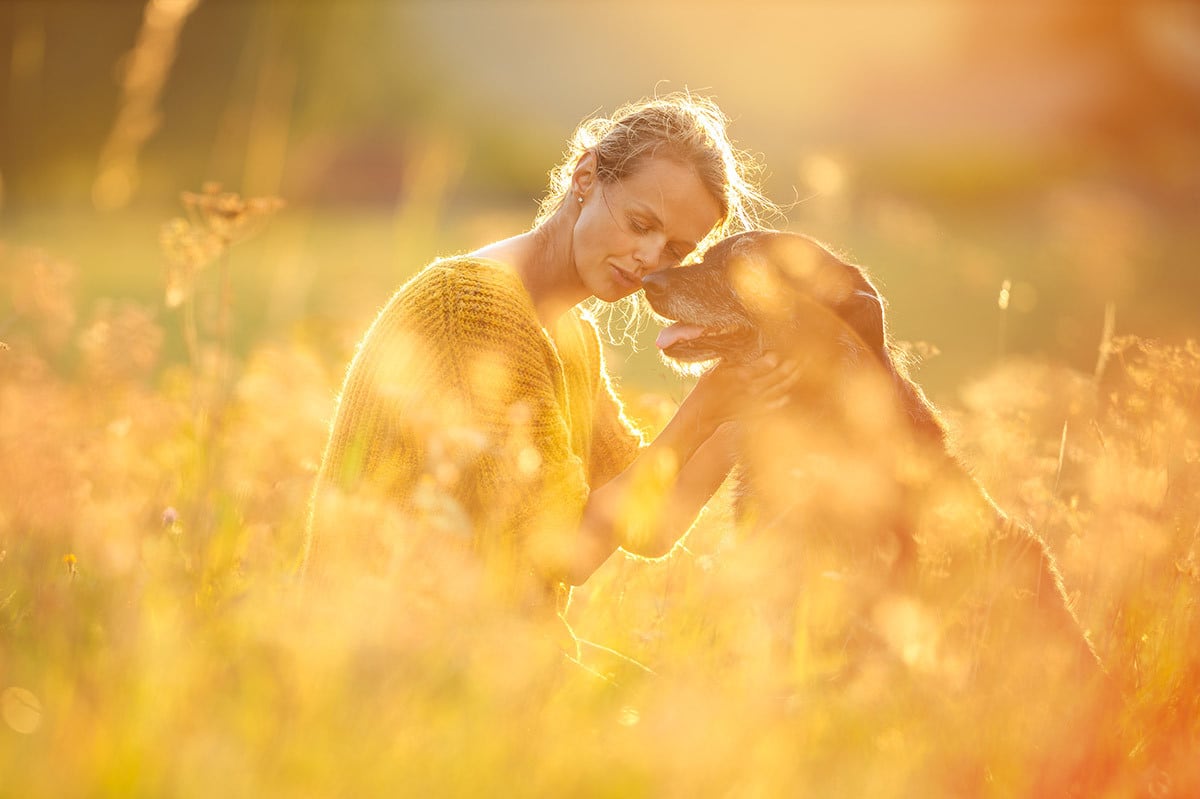 Frau und Hund im Feld Eine Frau und ihr Hund Kuscheln im hohe Gras eines Feldes