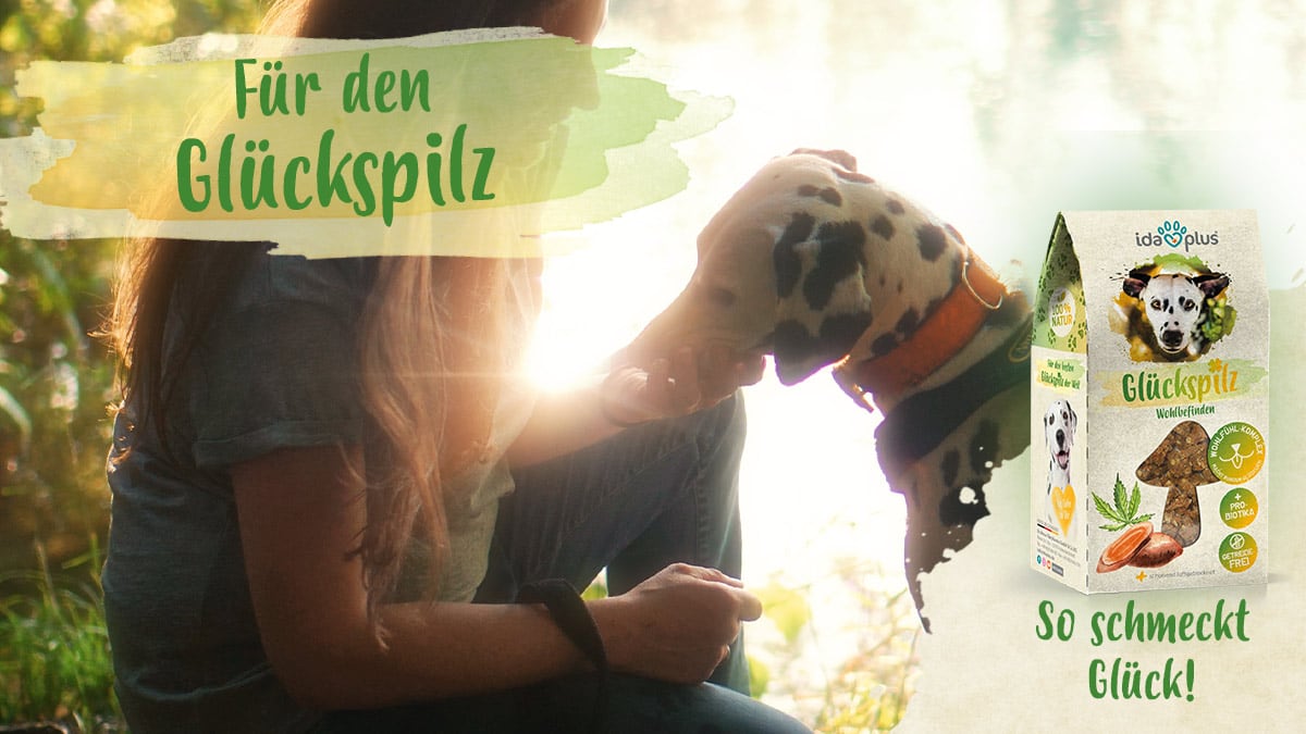 Für den Glückspilz Ein Hund bekommt im Licht der Dämmerung einen Snack. Daneben ist der Schriftzug: 'Für den Glückspilz' 'So schmeckt Glück!'