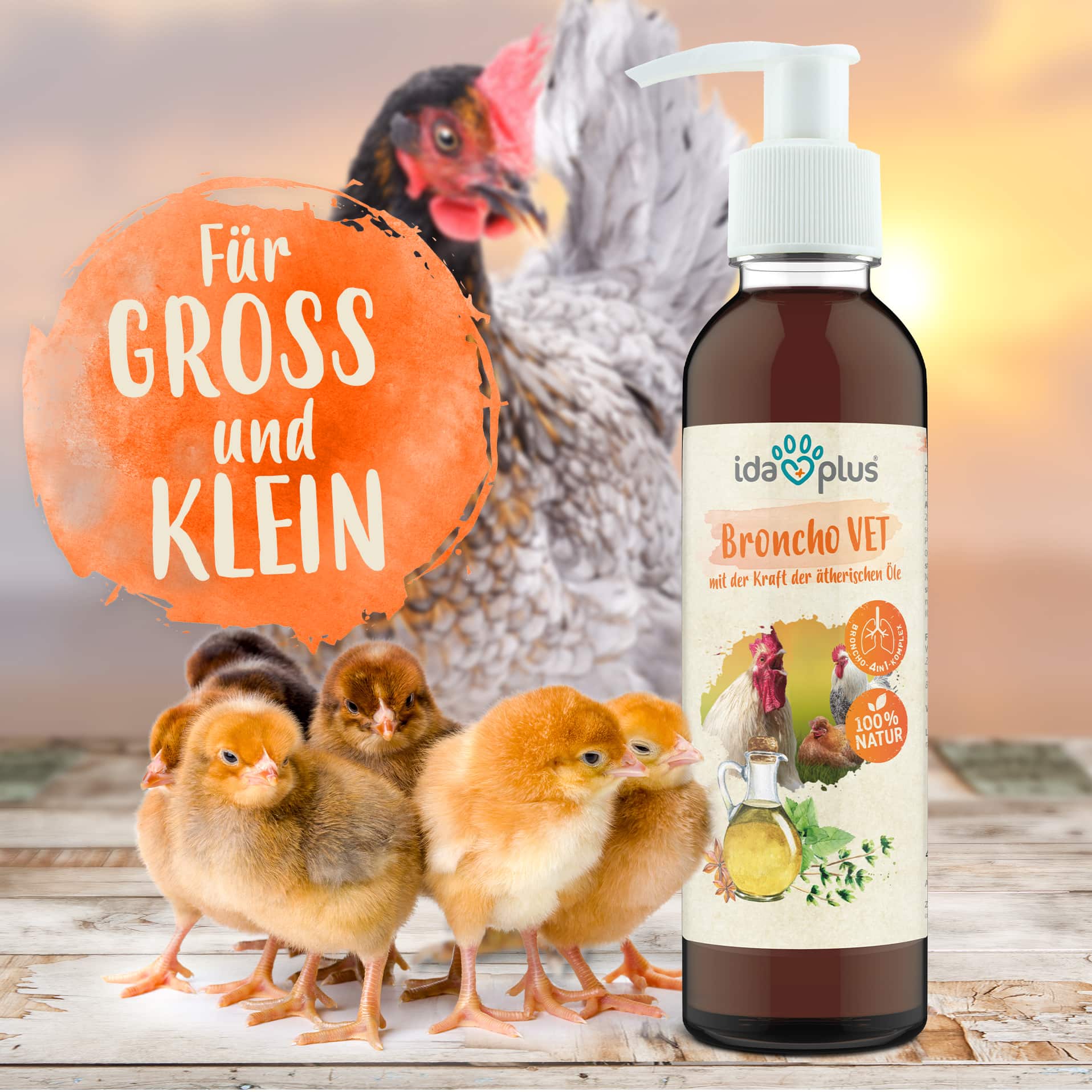 Broncho VET 200 ml für Hühner & Küken - unterstützt die Atemwege Broncho VET 200 ml für Hühner & Küken - unterstützt die Atemwege