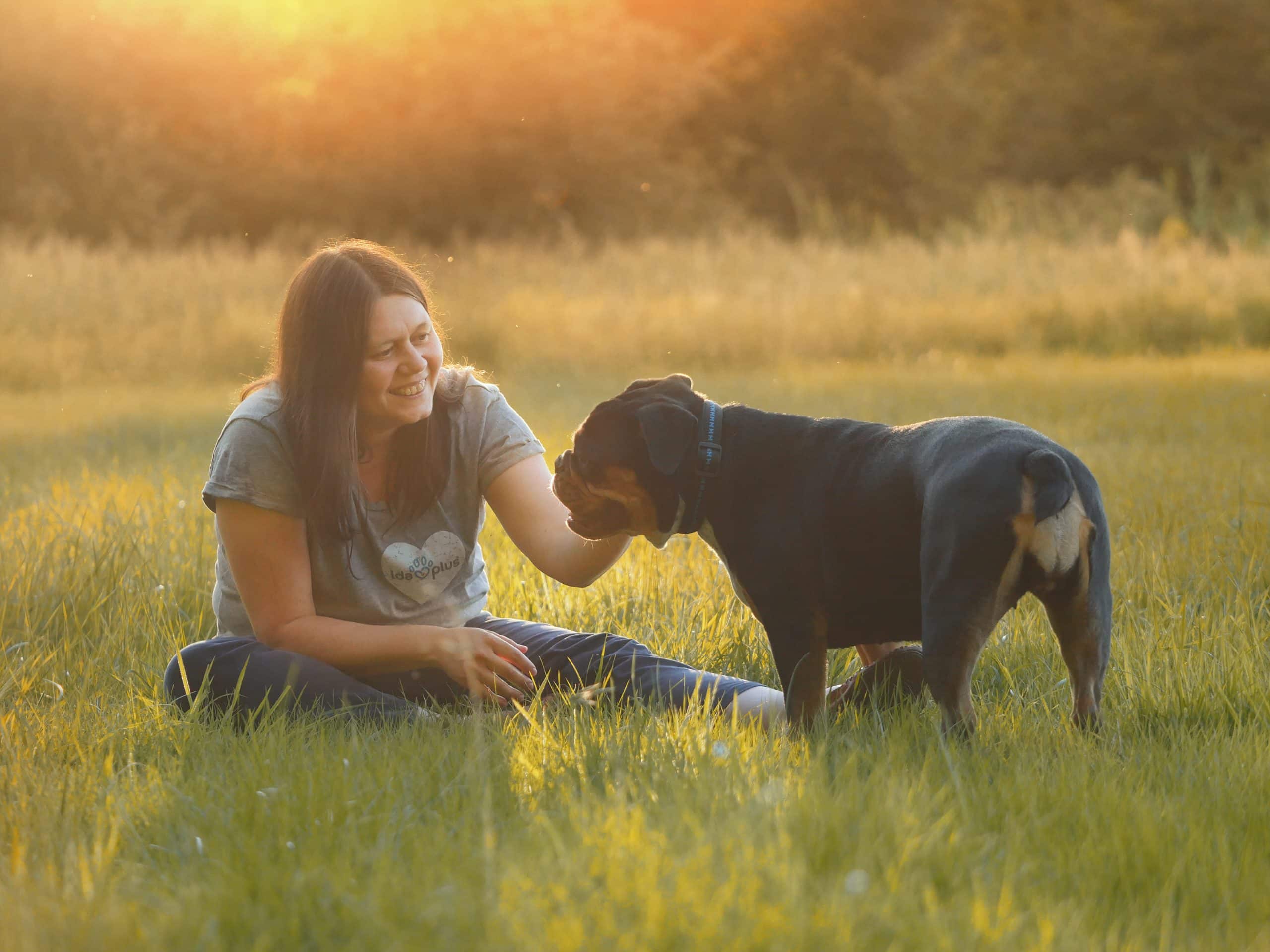 Streichel Wiese Eine Frau streichelt ihren Hund auf einer Wiese