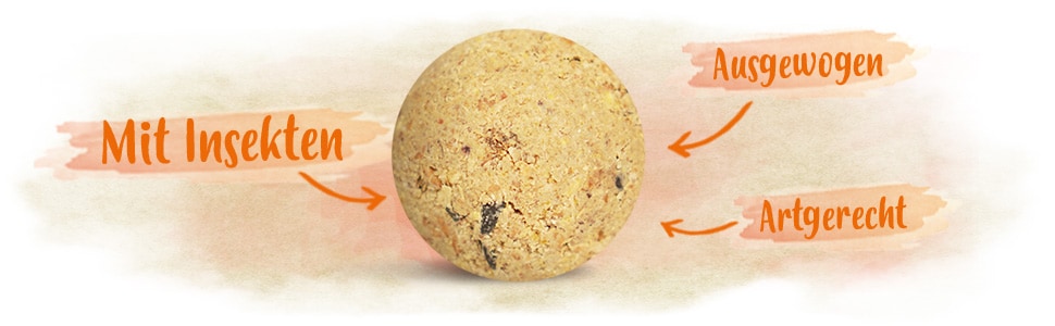 Premium Meisenknödel Eigenschaften Ein Meisenknödel. Daneben steht, dass dieser mit Insekten ist. Des Weiteren sind die Meisenknödel Ausgewogen und Artgerecht.