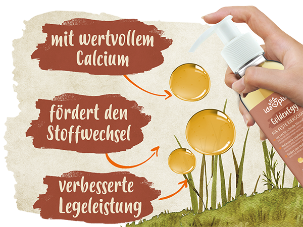 Erklärungen zum Ida Plus GoldenEgg. das Produkt wird in einer Hand gehalten. Text: verbesserte Legeleistung, mit wertvollem Calcium und fördert den Stoffwechsel