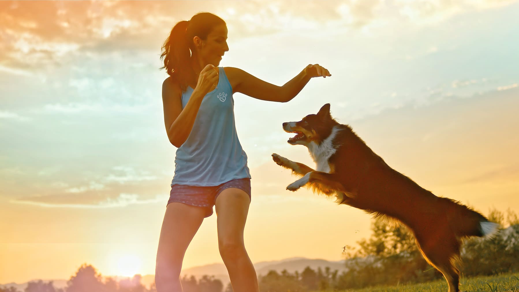Hundesport Ein Hund und dessen Frauchen machen gemeinsam auf einer Wiese Hundesport.