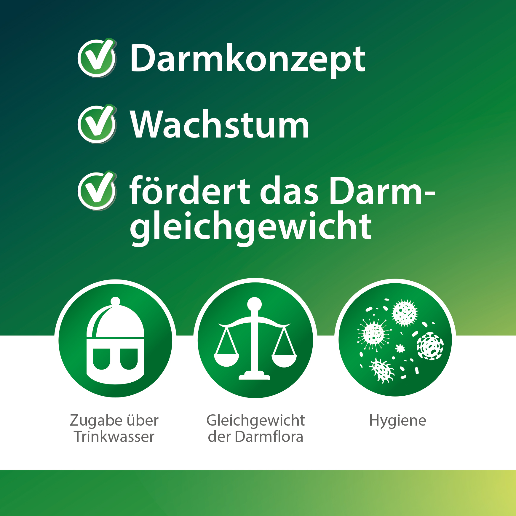 DarmFit - 1000 ml - with trace elements concentrate (5 ml/liter) for poultry: chickens, turkeys, geese, ducks