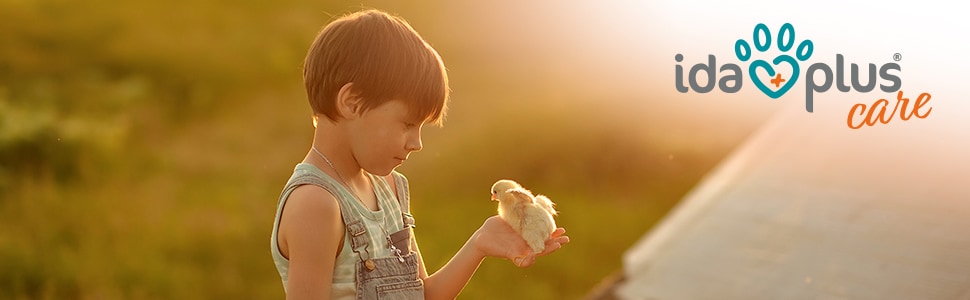 Header Küken Ein Küken sitzt auf der Hand eines Jungen.