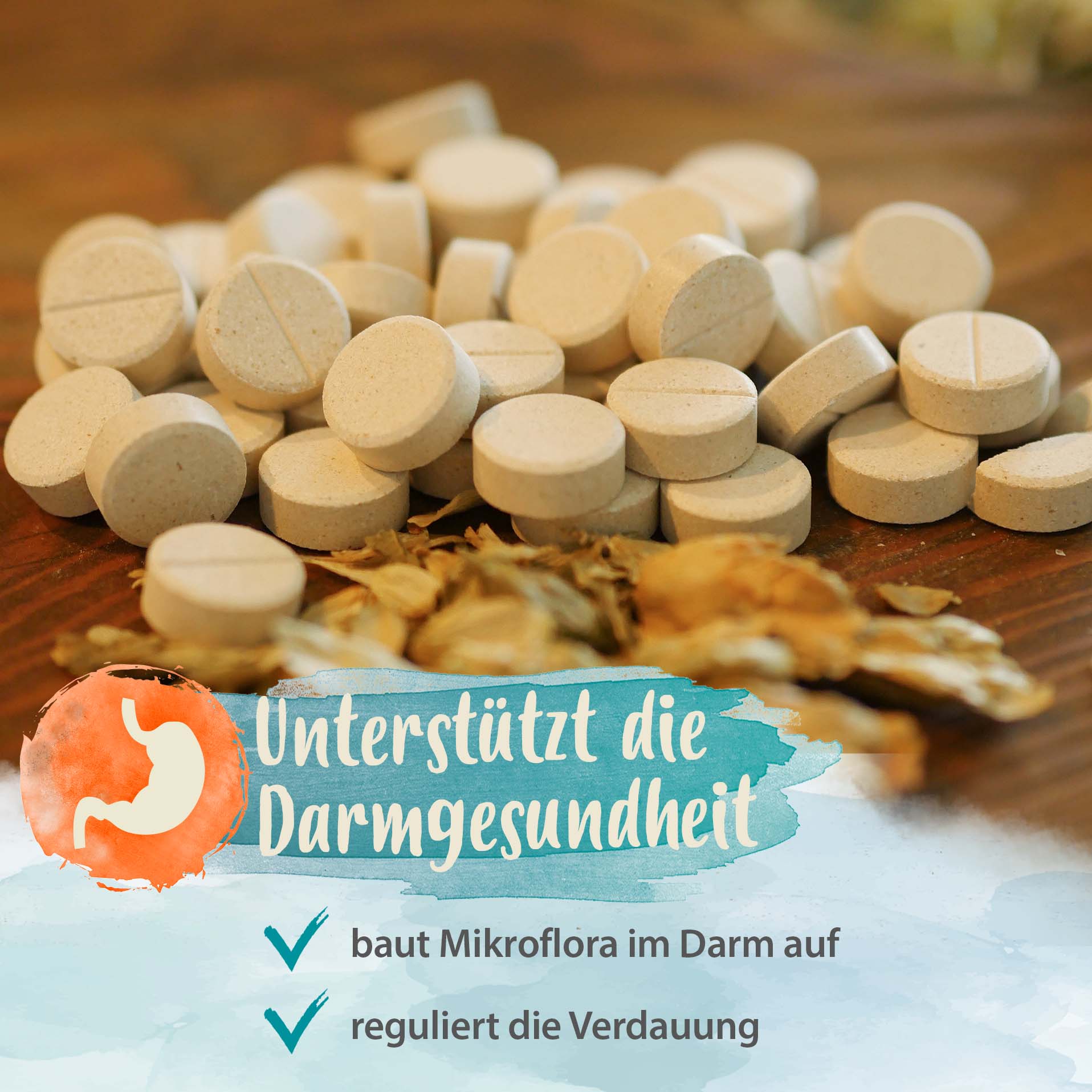 Darmbiotic - gesunde Darmbakterien - Probiotika zur Darmsanierung - 2x 120 Stk. Darmbiotic - gesunde Darmbakterien - Probiotika zur Darmsanierung - 2x 120 Stk.