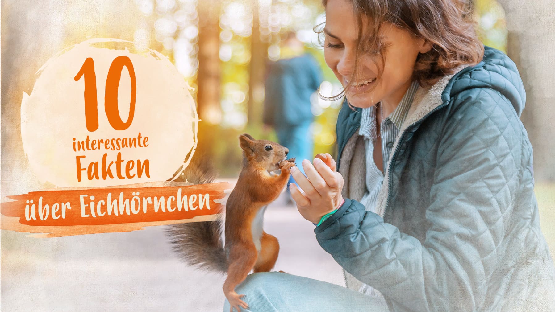 Eichhörnchen Fakten 10 interessante Fakten über Eichhörnchen.