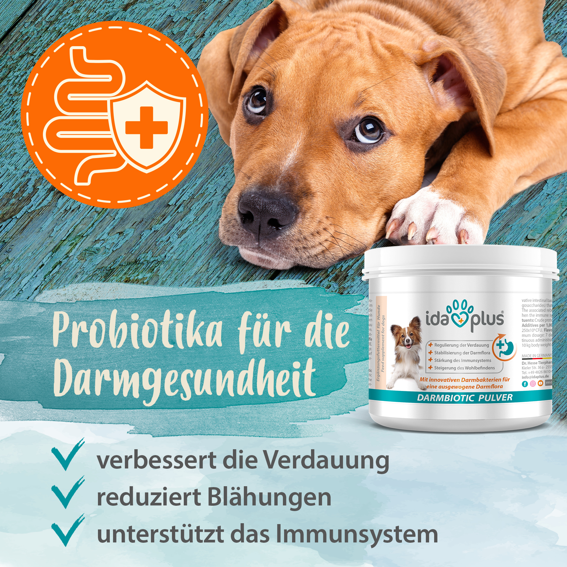 EquiMove digest. Zur Stabilisierung der physiologischen Verdauung. Bei Gefahr von, während oder nach Verdauungsstörungen. Preis: ab 45,00 EUR