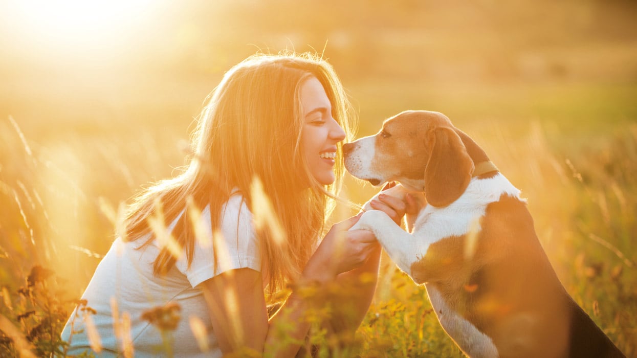 Frau und Hund Eine Frau und ein Hund spielen auf einer Wiese.