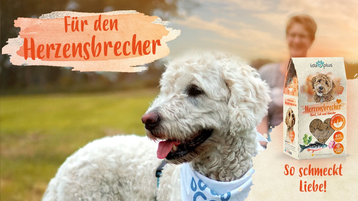 Für den Herzensbrecher Ein Hund steht im Licht der Dämmerung. Daneben ist der Schriftzug: 'Für den Herzensbrecher' 'So schmeckt Liebe!'