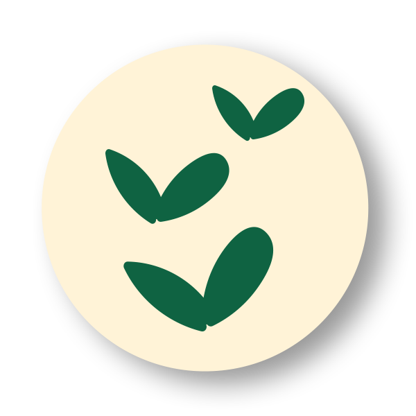 Icon ida+ Herzen