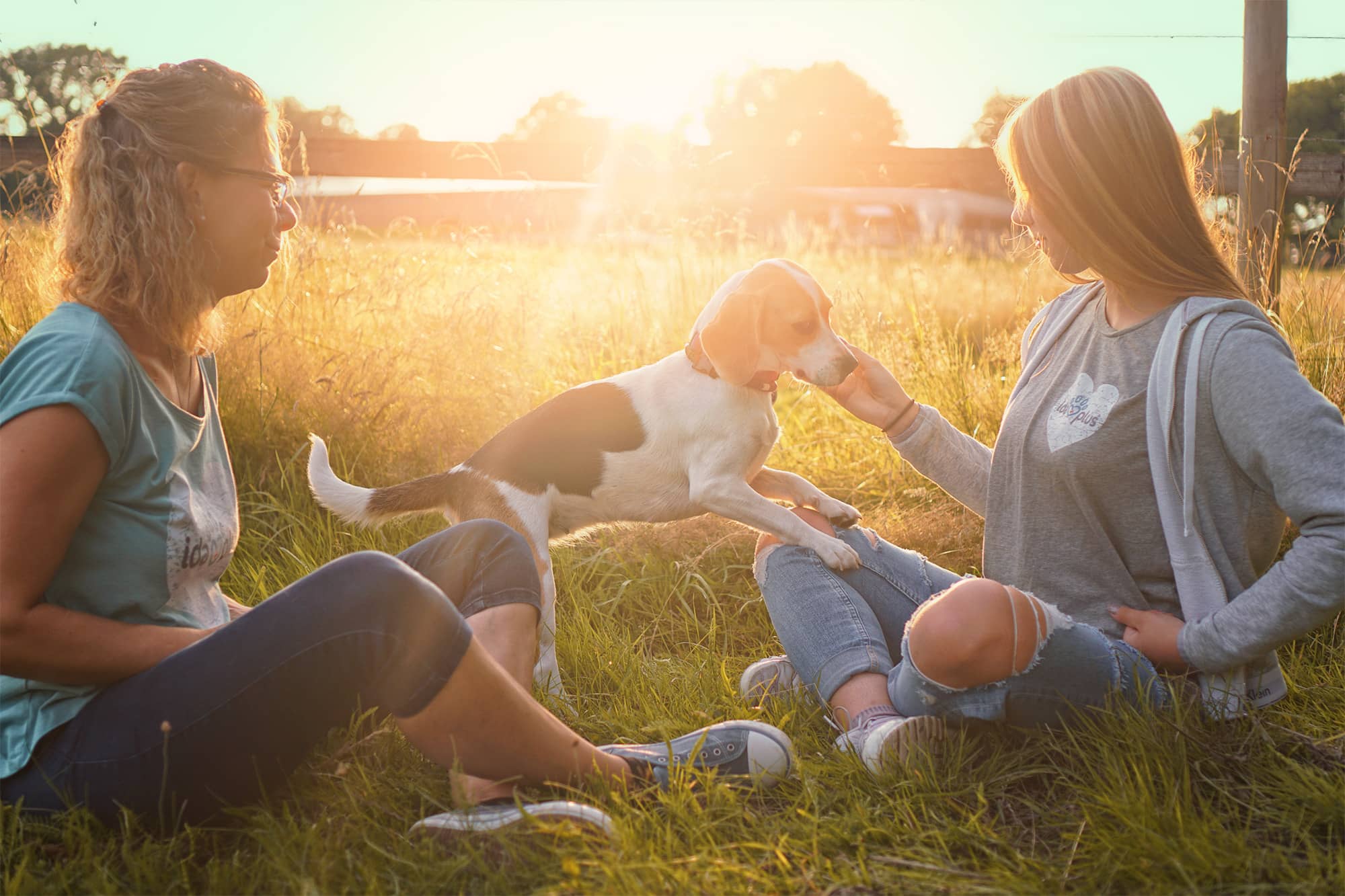 Beagle auf Wiese Zwei Frauen sitzen mit einem Beagle auf einer Wiese.