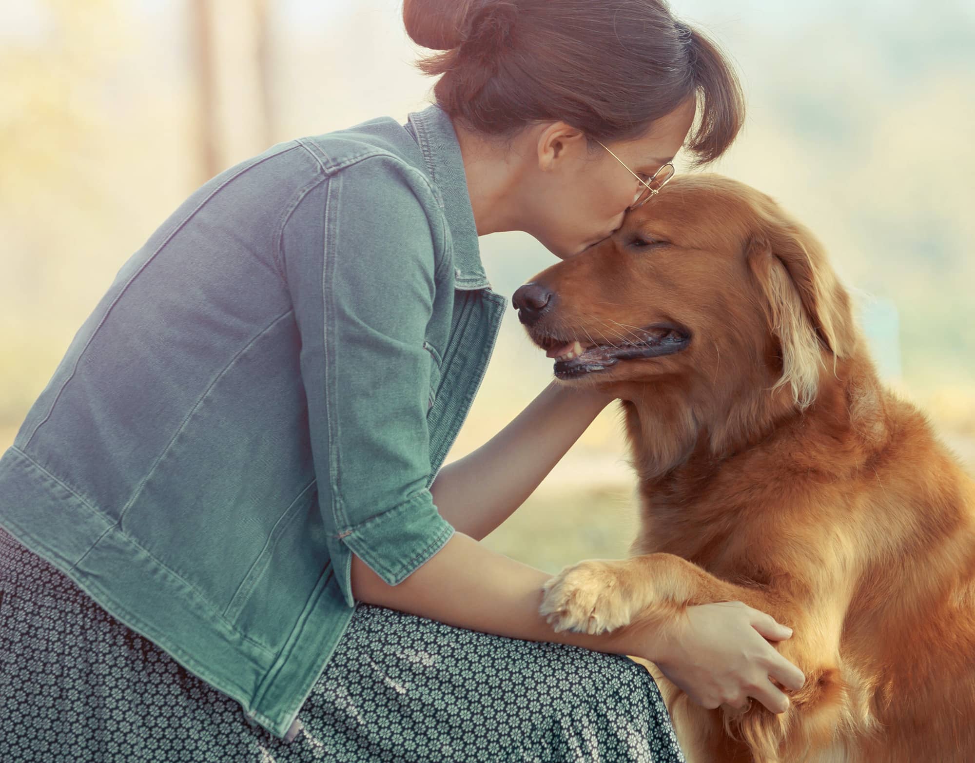 Kuss für den Hund Eine Frau gibt ihrem Hund einen Kuss auf die Stirn.