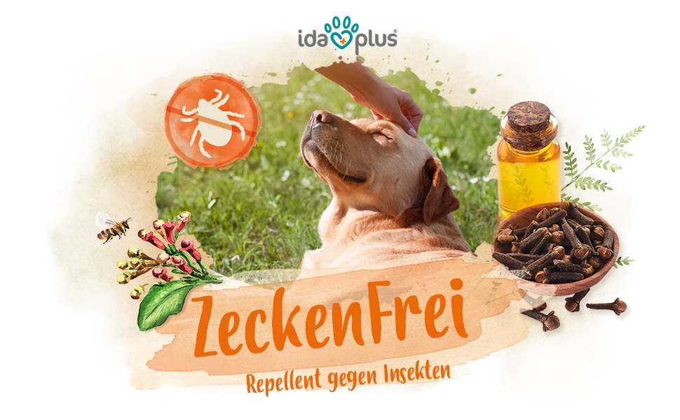 ZeckenFrei A+ Header Ein Hund liegt in der Sonne und bekommt den Kopf gekrault. Darunter steht: 'Zecken Frei' 'Repellent gegen Insekten'