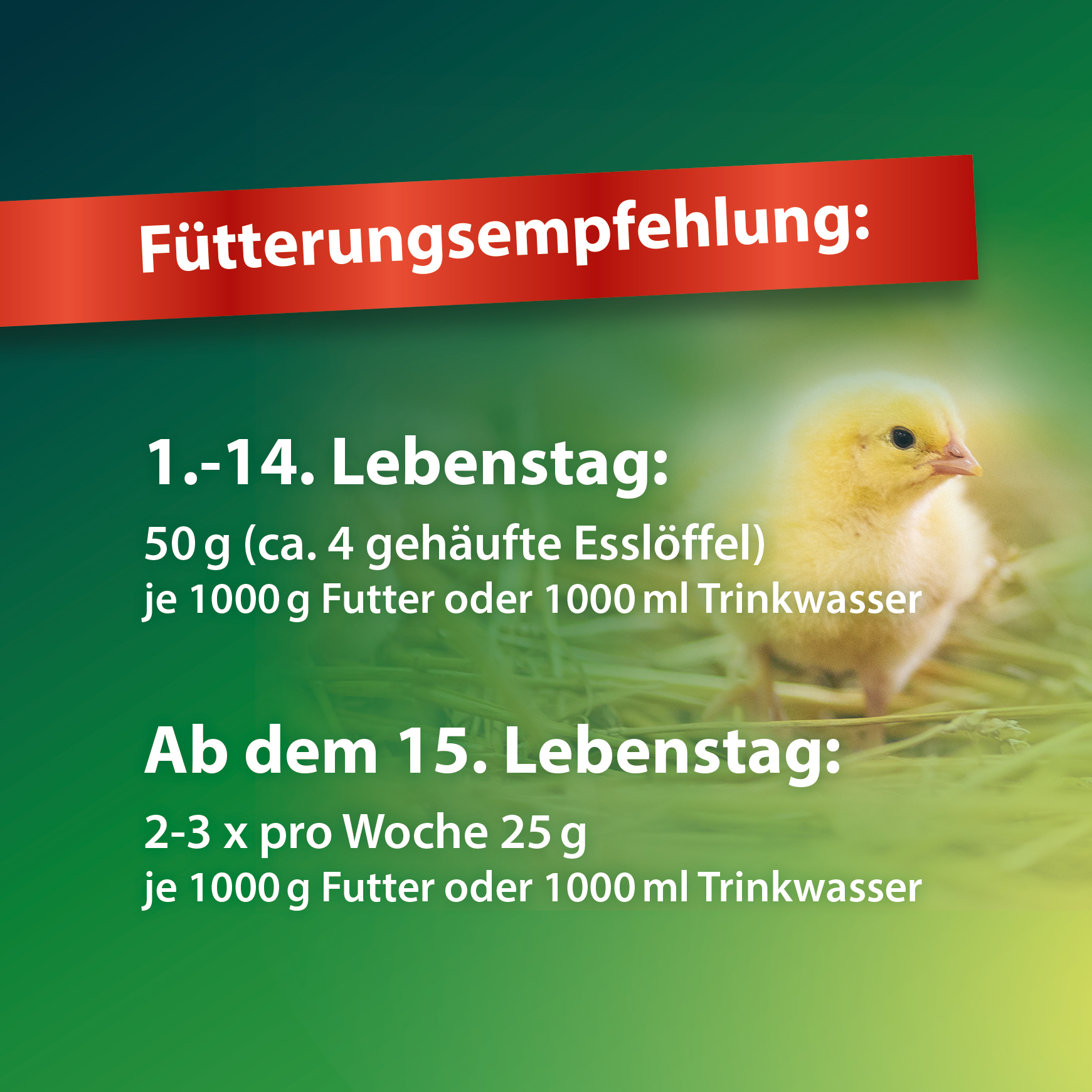 Kükenglück - 550 g - Aufzuchtpräparat - Kükenfutter mit Vitaminen - für Hühner, Enten, Gänse, Geflügel