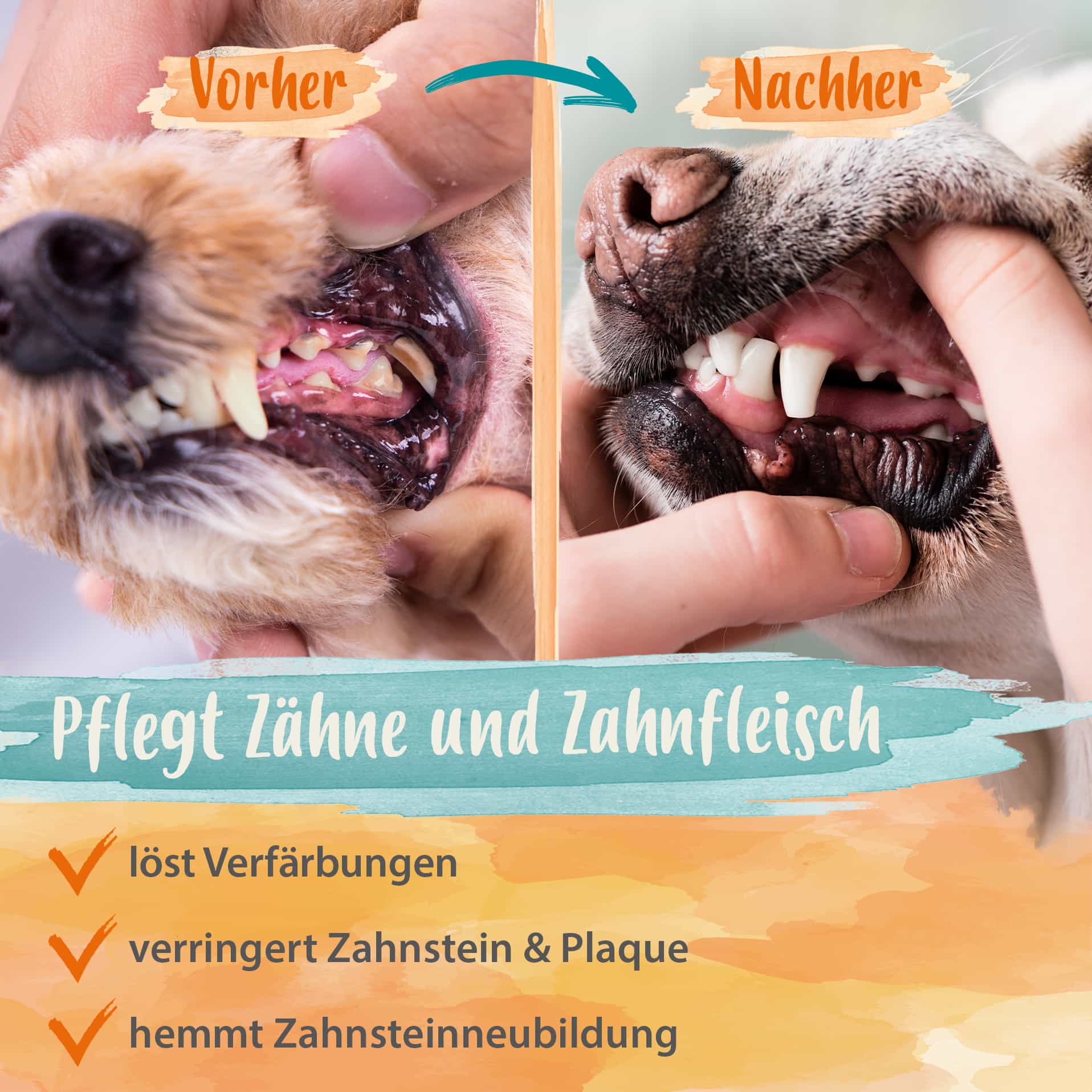 Denta Dog - kinderleichte Hunde Zahnpflege - stoppt Hunde Mundgeruch - 150 g Denta Dog - kinderleichte Hunde Zahnpflege - stoppt Hunde Mundgeruch - 150 g