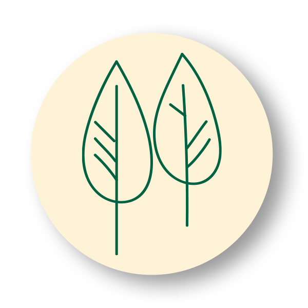 Icon der ida+ Bäume