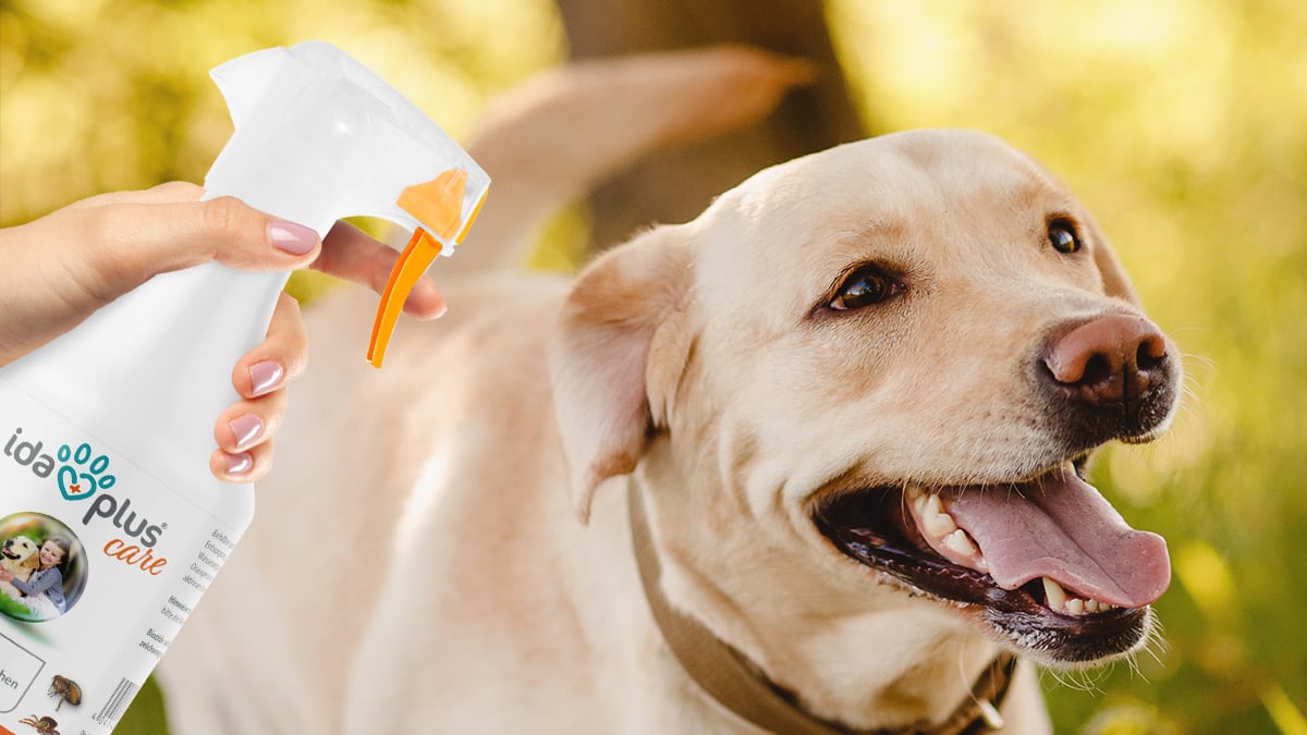 Zeckenfrei Ein Hund wird mit dem Ida Plus Zeckenfrei besprüht.