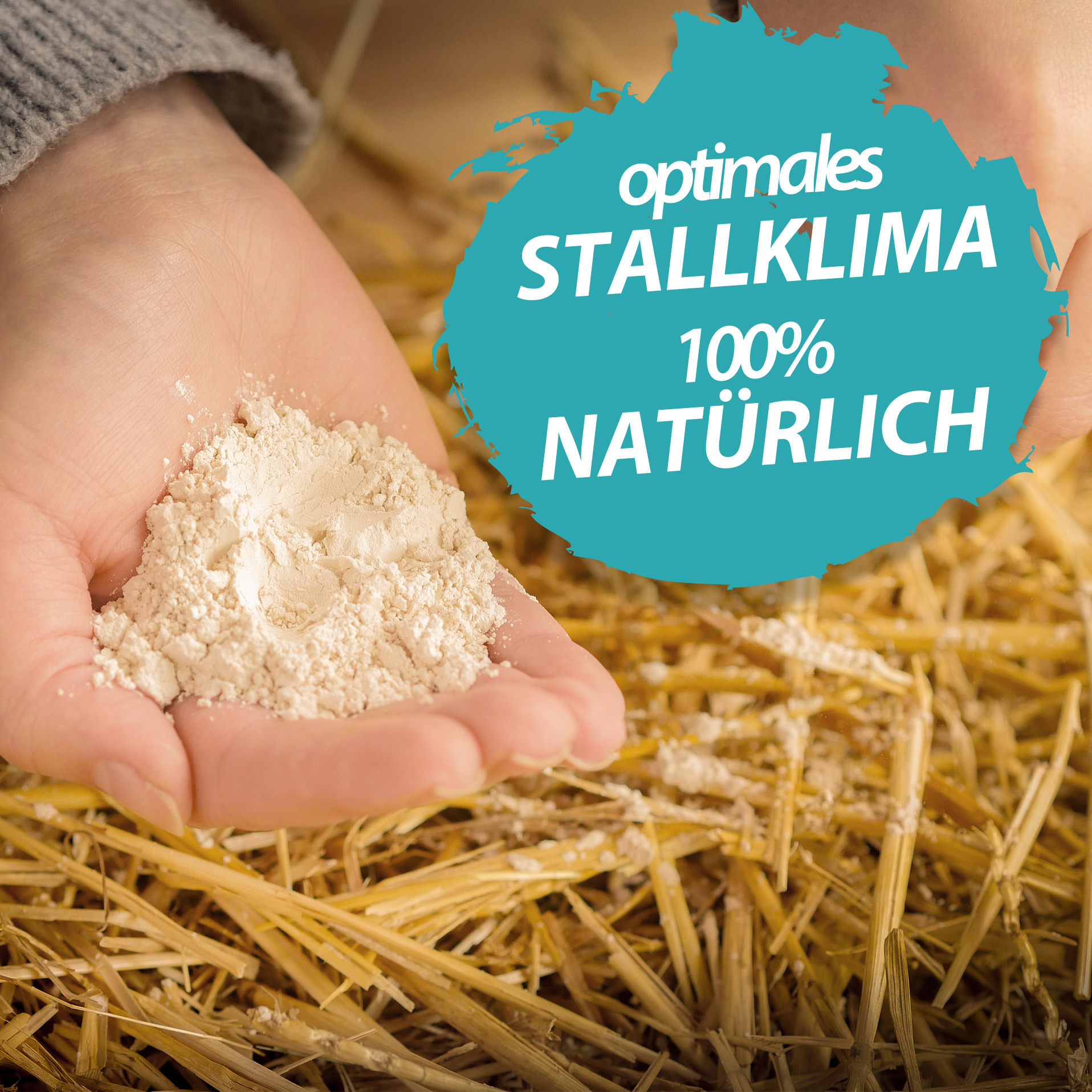 Kieselgur Natur im umweltfreundlichen Papiersack - Kieselerde als Pulver - 3 Kg Kieselgur Natur im umweltfreundlichen Papiersack - Kieselerde als Pulver - 3 Kg