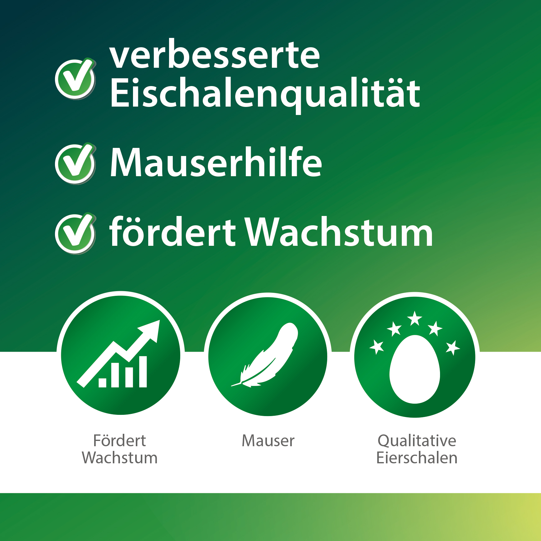 Hennengold - 500 ml - reduces broken eggs & feather pecking - supports feather growth & plumage