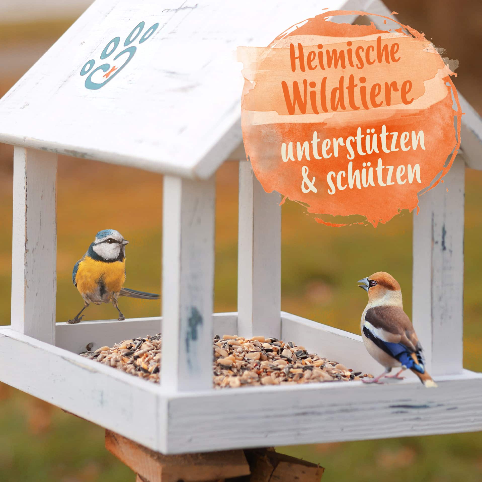 Vogelstreufutter ohne Weizen für Wildvögel - Ganzjahres Vogelfutter - 20 Kg Vogelstreufutter ohne Weizen für Wildvögel - Ganzjahres Vogelfutter - 20 Kg