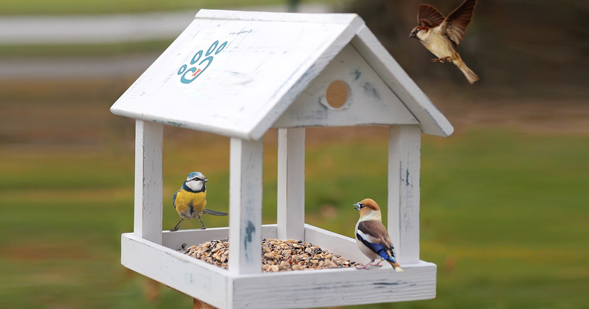 Vogelhaus im „Shabby Style“ – die Bauanleitung