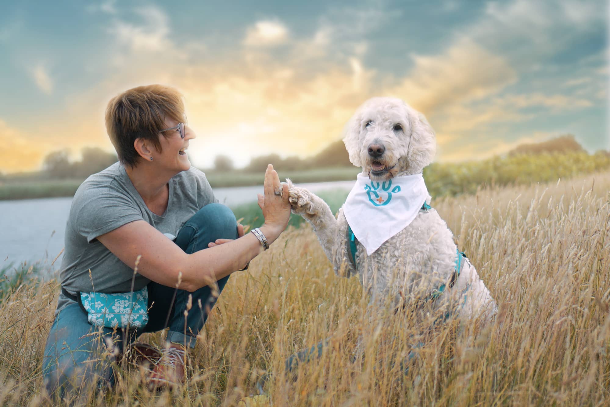 Antje Guenther Doodle Ein Hund legt seine Pfote auf die Hand seiner Besitzerin.