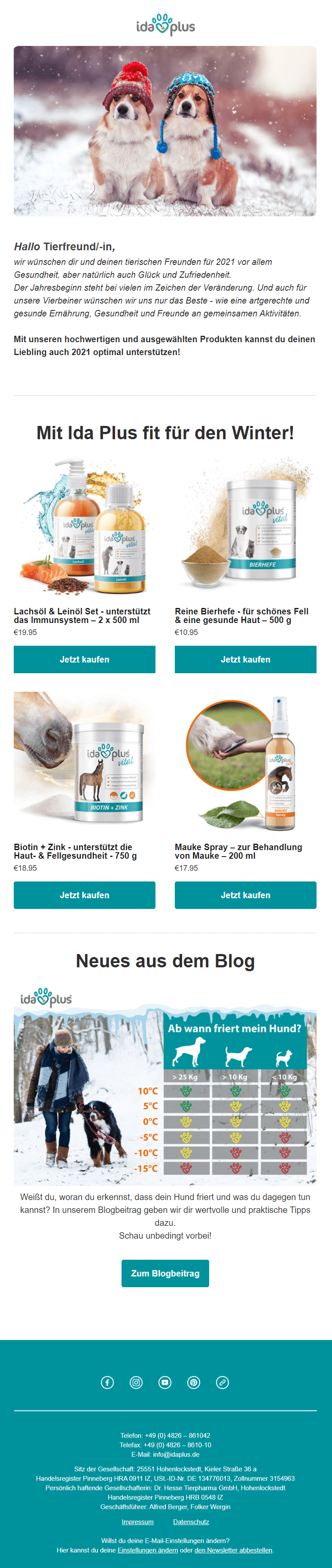 Eine Anleitung um deinen Liebling gesund ins neue Jahr und durch die Winterzeit zu bekommen.