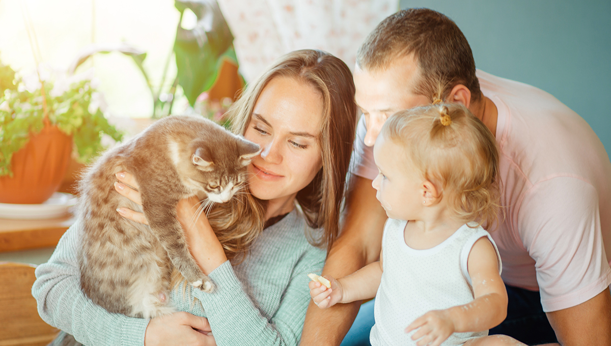 Familie mit Katze Eine Katze mit einer kleinen Familie