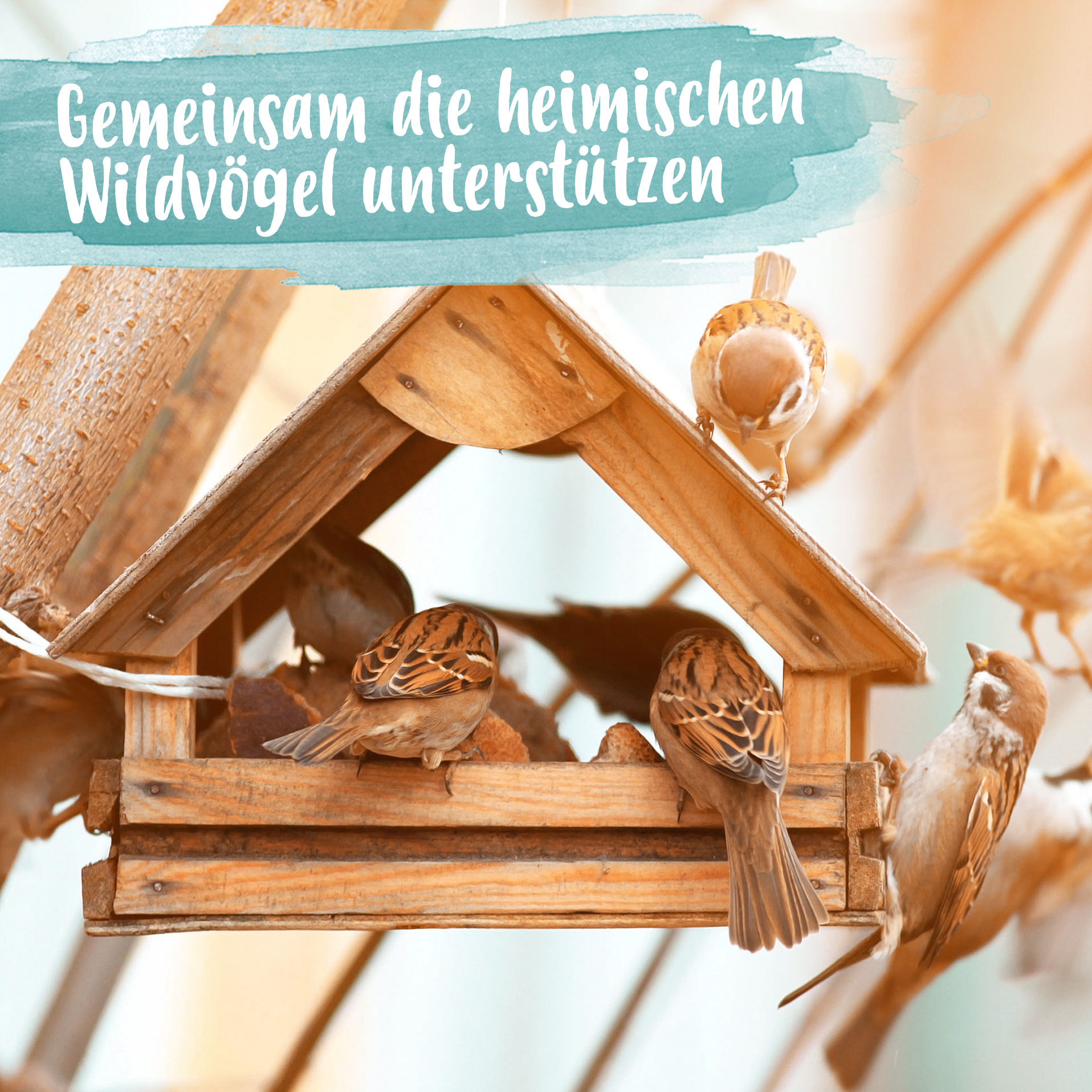 Edel Mehlwürmer getrocknet - Insekten Snack für Wildvögel - 1000g Edel Mehlwürmer getrocknet - Insekten Snack für Wildvögel - 1000g