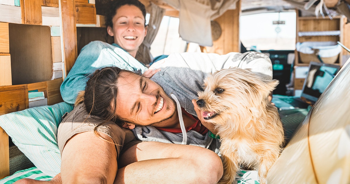 Hund im Camping Urlaub Ein Hund liegt mit einem Pärchen zusammen im Bett eines Camping Wagens.
