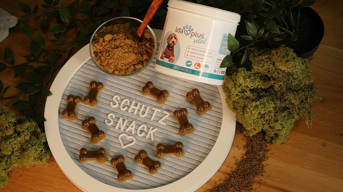 Schutz Snack Schutz Snack ansprechend serviert.