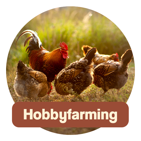 Ida Plus Hobbyfarming: Hier Klicken, um zur Hobbyfarmingwebsite zu kommen.