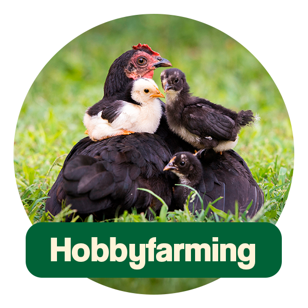 Ida Plus Hobbyfarming: Hier Klicken, um zur Hobbyfarmingwebsite zu kommen.