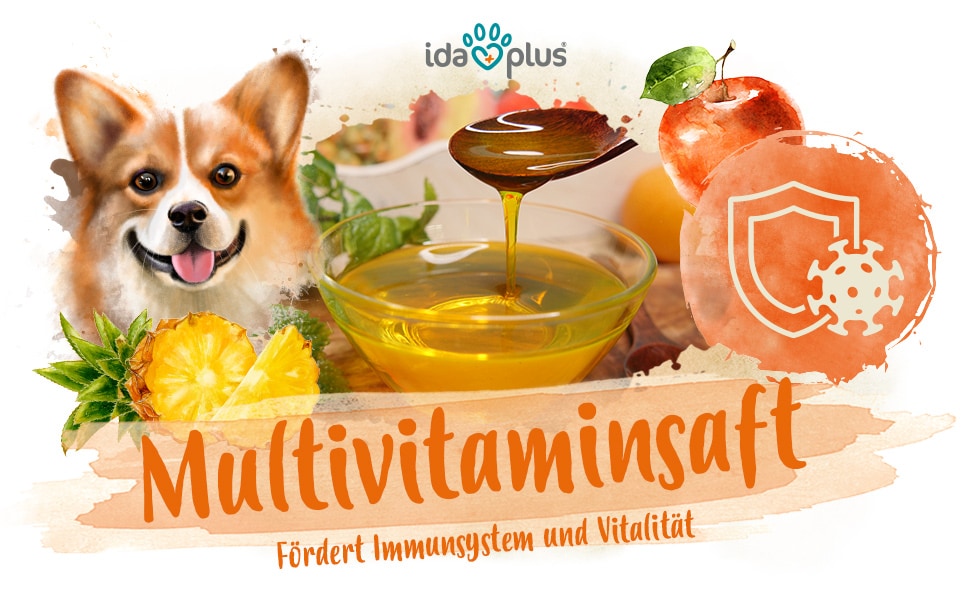 Multivitaminsaft A+ Header Eine Glasschale mit Multivitaminsaft. Darunter steht: 'Multivitaminsaft' 'Fördert Immunsystem und Vitalität.