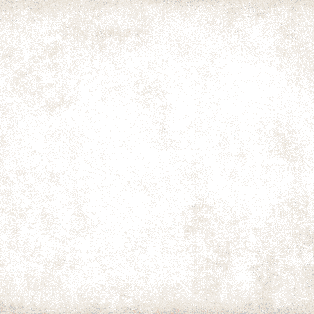 Lebenszyklus einer Hirschlausfliege In einem Gif wird der Lebenszyklus einer Hirschlausfliege dargestellt.