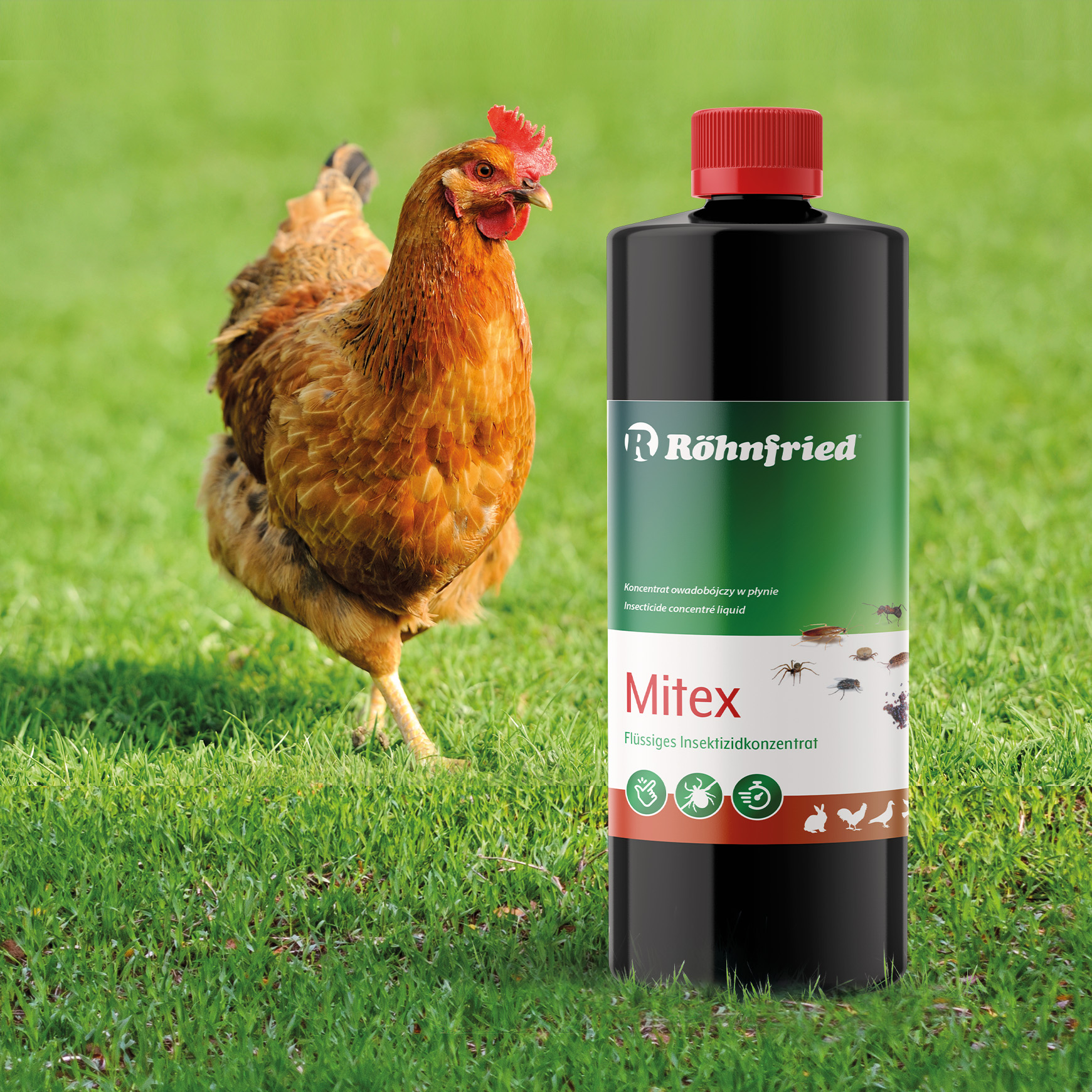 Mitex - 1000 ml - Insektenschutz mit Langzeitwirkung - gegen rote Vogelmilbe, Milben, Ameisen, Flöhe