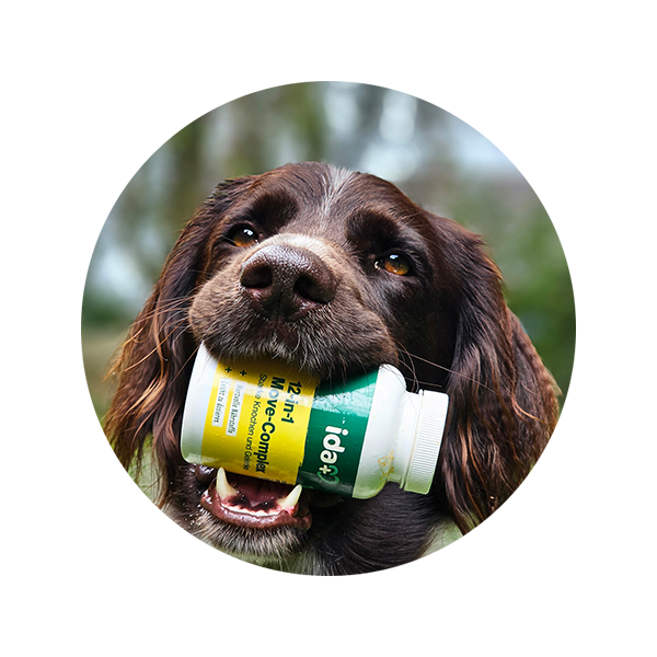 Hund mit ida+ Futterergänzung 12in1 Move-Complex