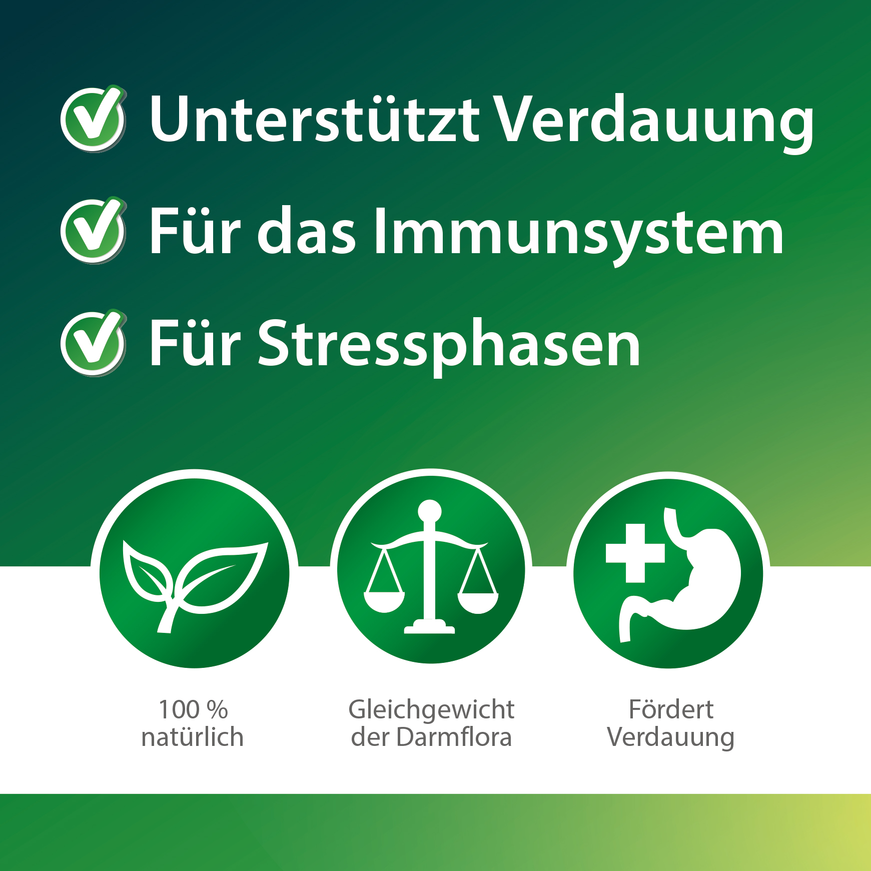 Darmwohl - 500 ml - para aves y animales pequeños, favorece la digestión y la cría, aceite de orégano y tomillo